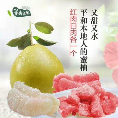 湖北宜昌秭歸縣柚子 沙田柚批發市場探析，0.60元/斤的價格優勢與品質保障
